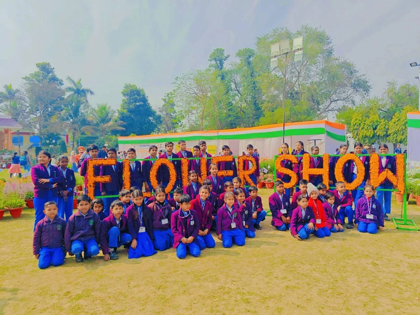 Expert Teachers